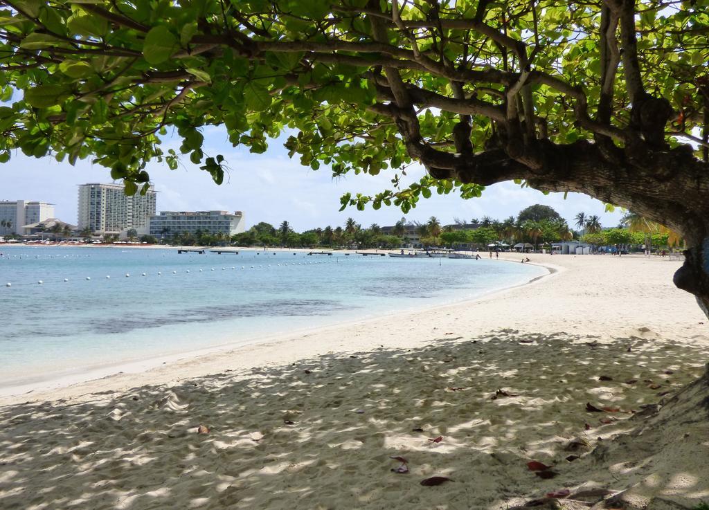 Beach One Bedroom Suite 13 Ocho Rios Zewnętrze zdjęcie